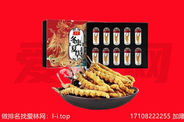 防城港回收虫草.jpg